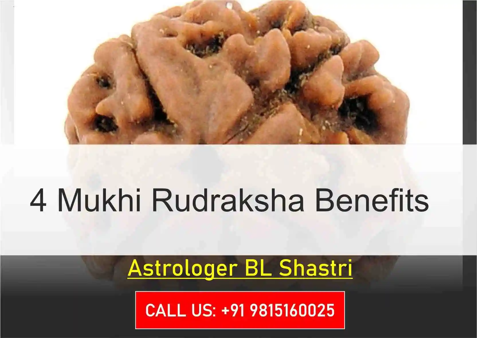 4 Mukhi Rudraksha Benefits And Importance