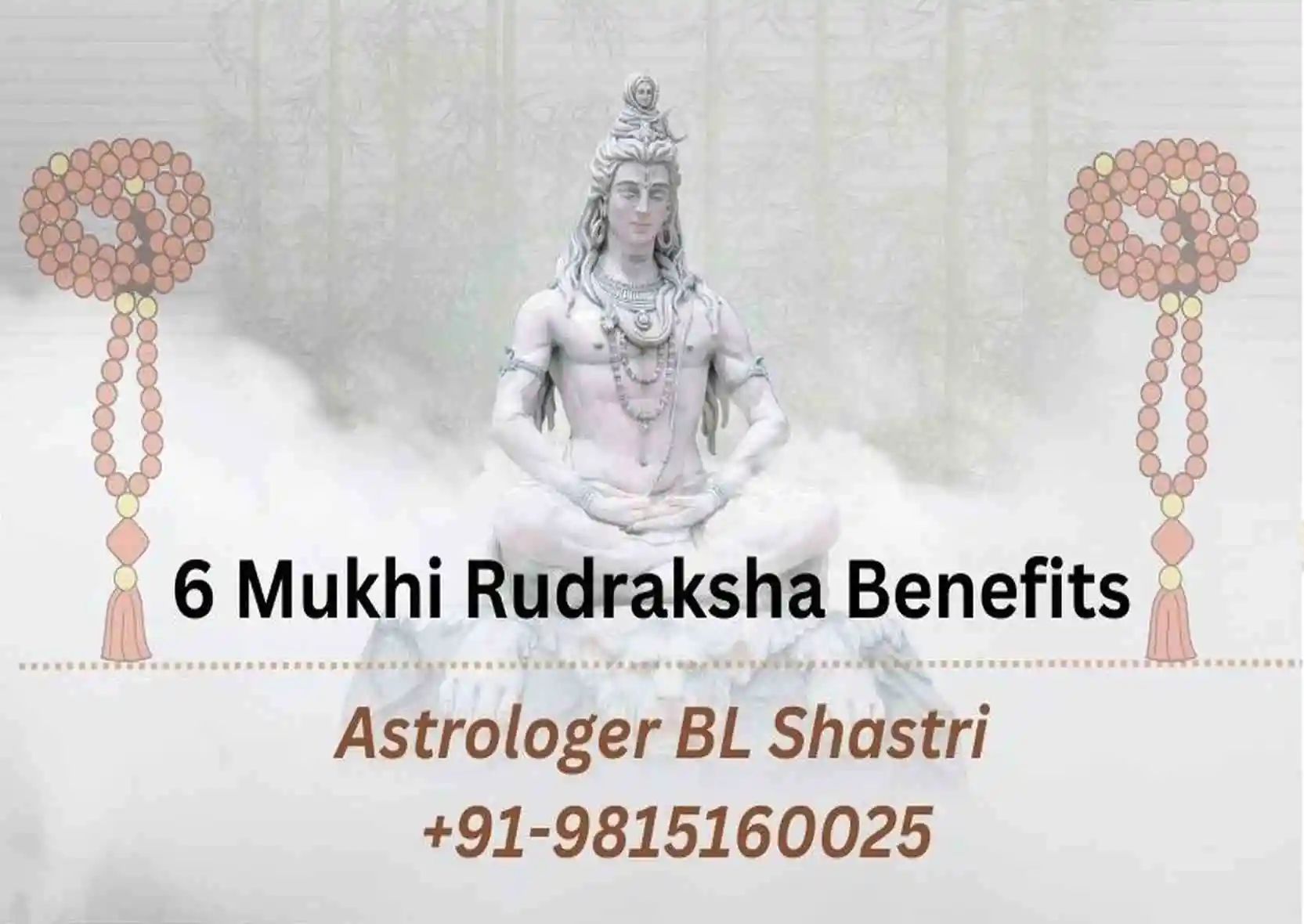 6 Mukhi Rudraksha Benefits
