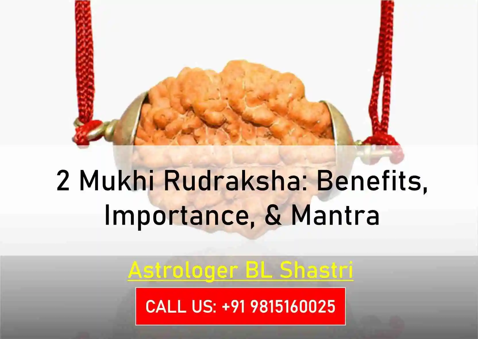 2 Mukhi Rudraksha: Benefits, Importance, & Mantra