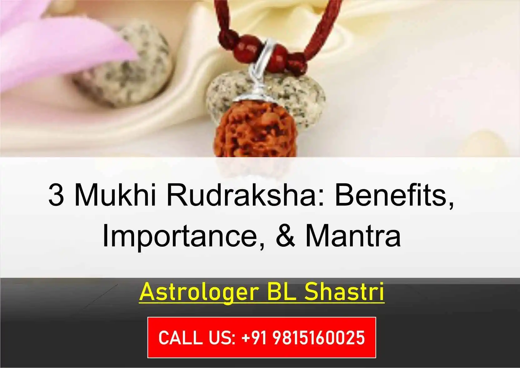 3 Mukhi Rudraksha: Benefits, Importance, & Mantra